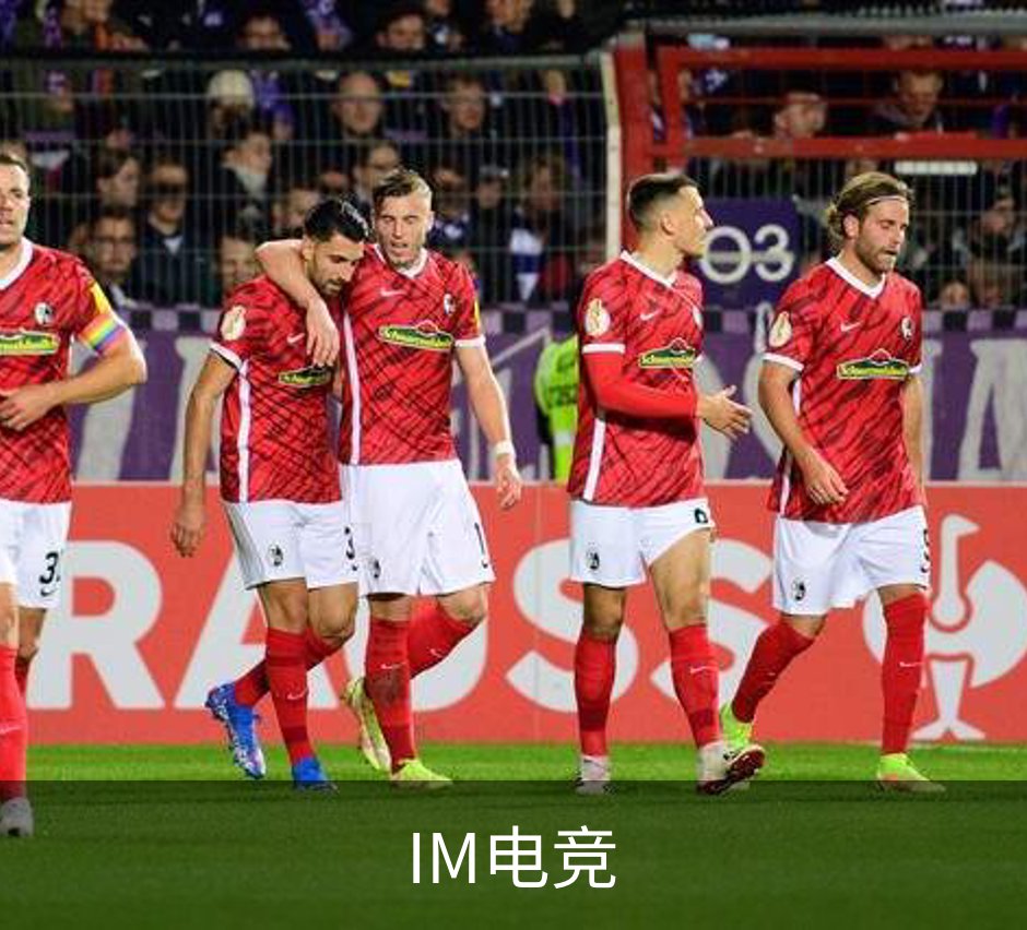 IM电竞简介